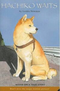 Street dogs
